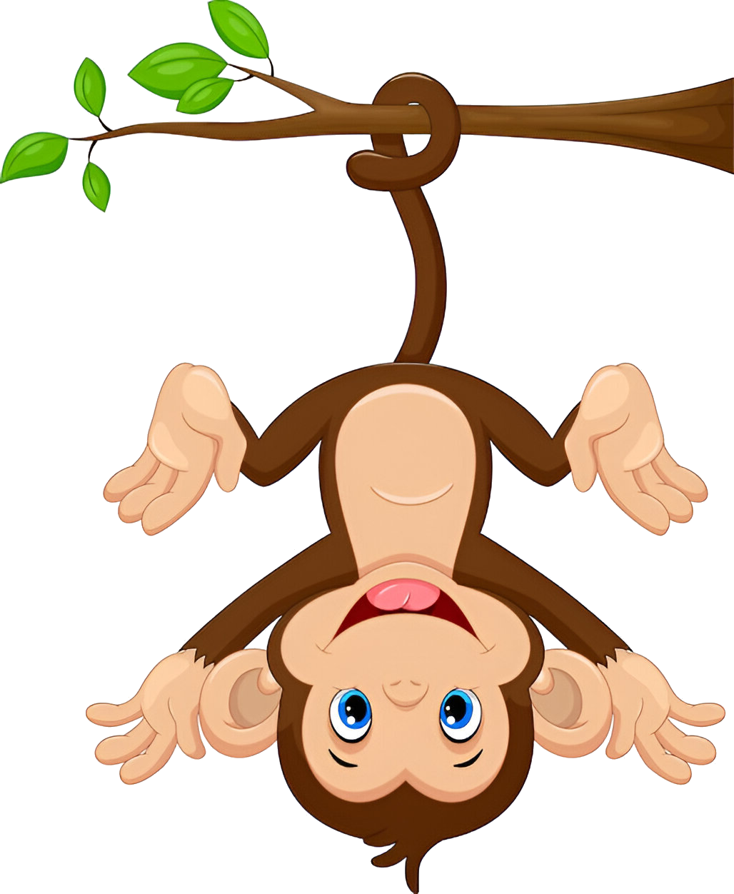 Hanging Monkey