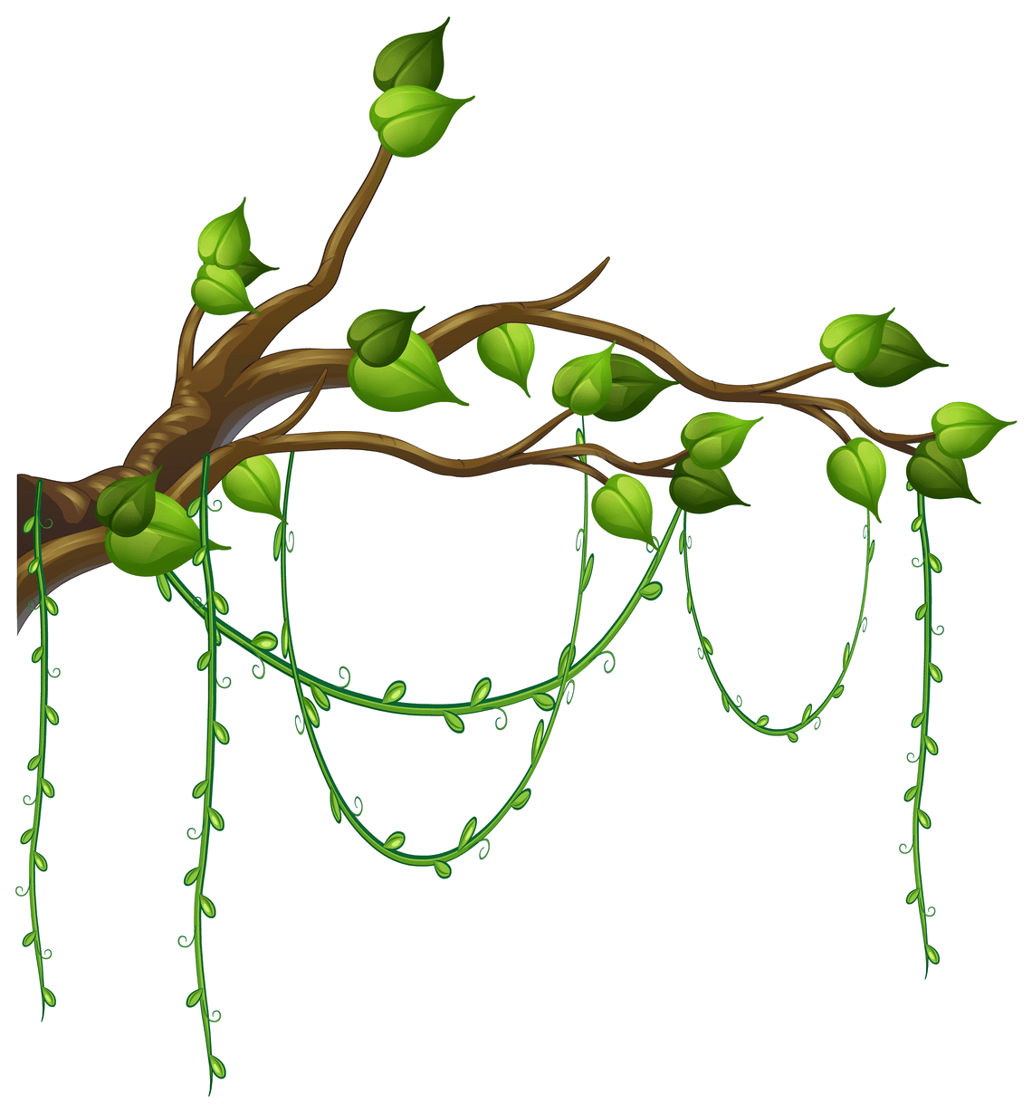 Decorative Leaf